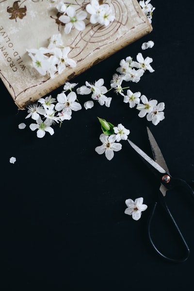 图聚科技
